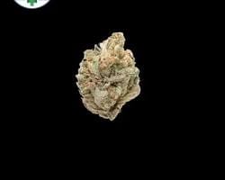 Sweet Tangie flower strain on a blacl background.