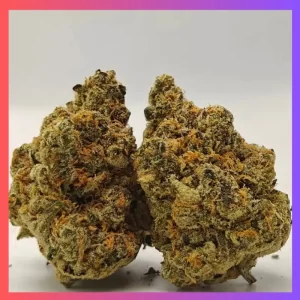 Froot Gummies - CBD:THC - 1:1 - 100mg