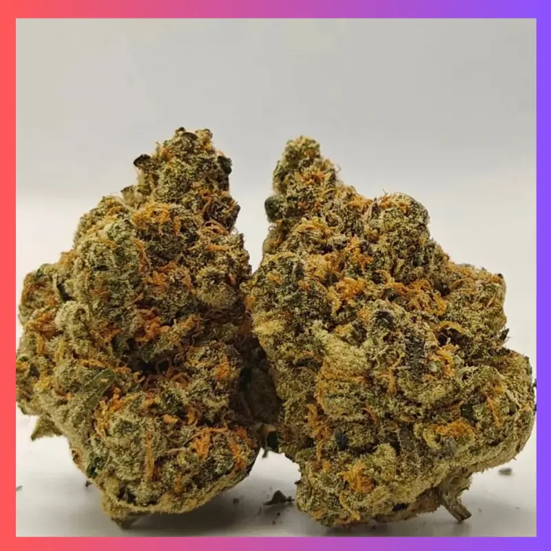 Froot Gummies - CBD:THC - 1:1 - 100mg
