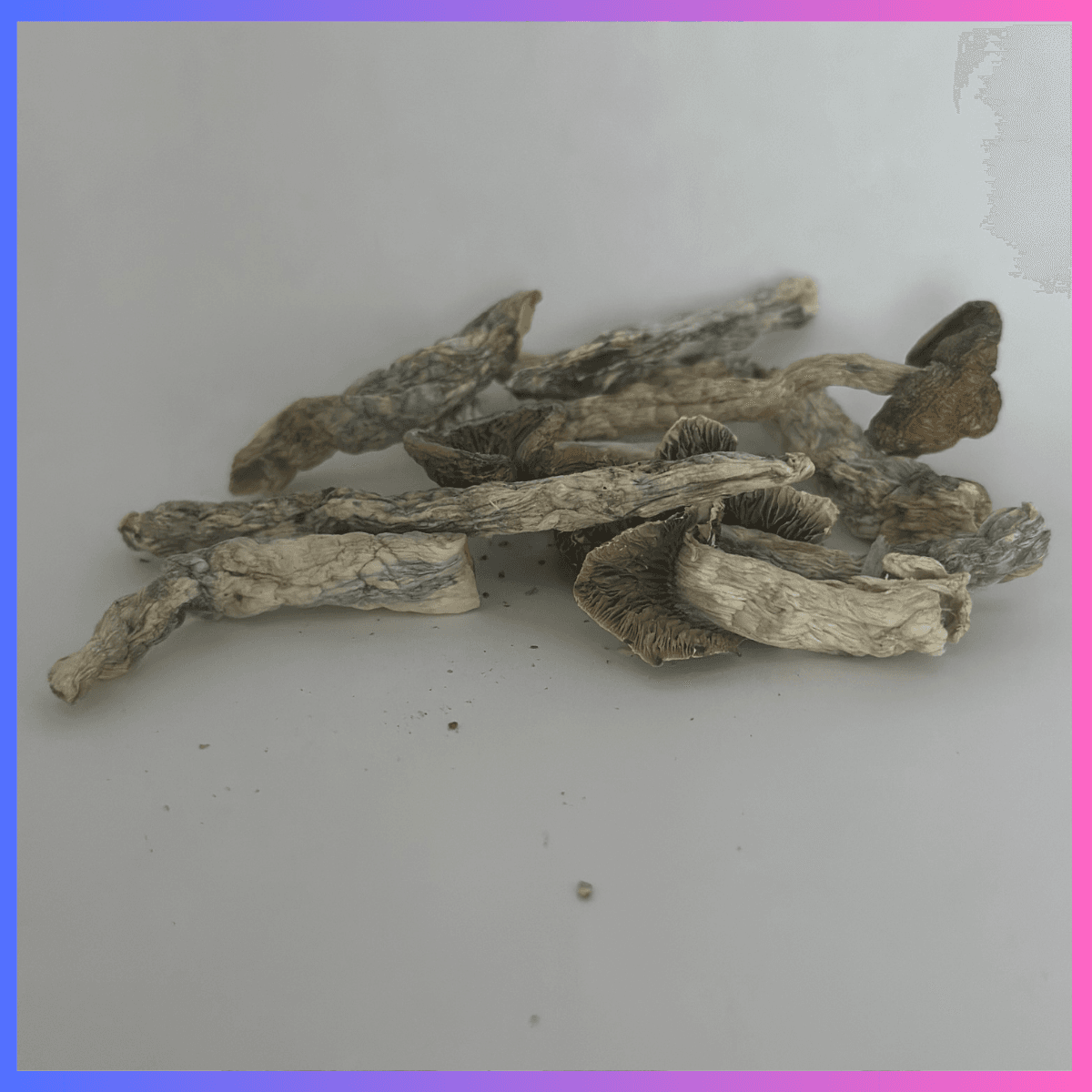 Mushrooms - Image 2