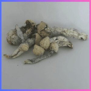 Mushrooms