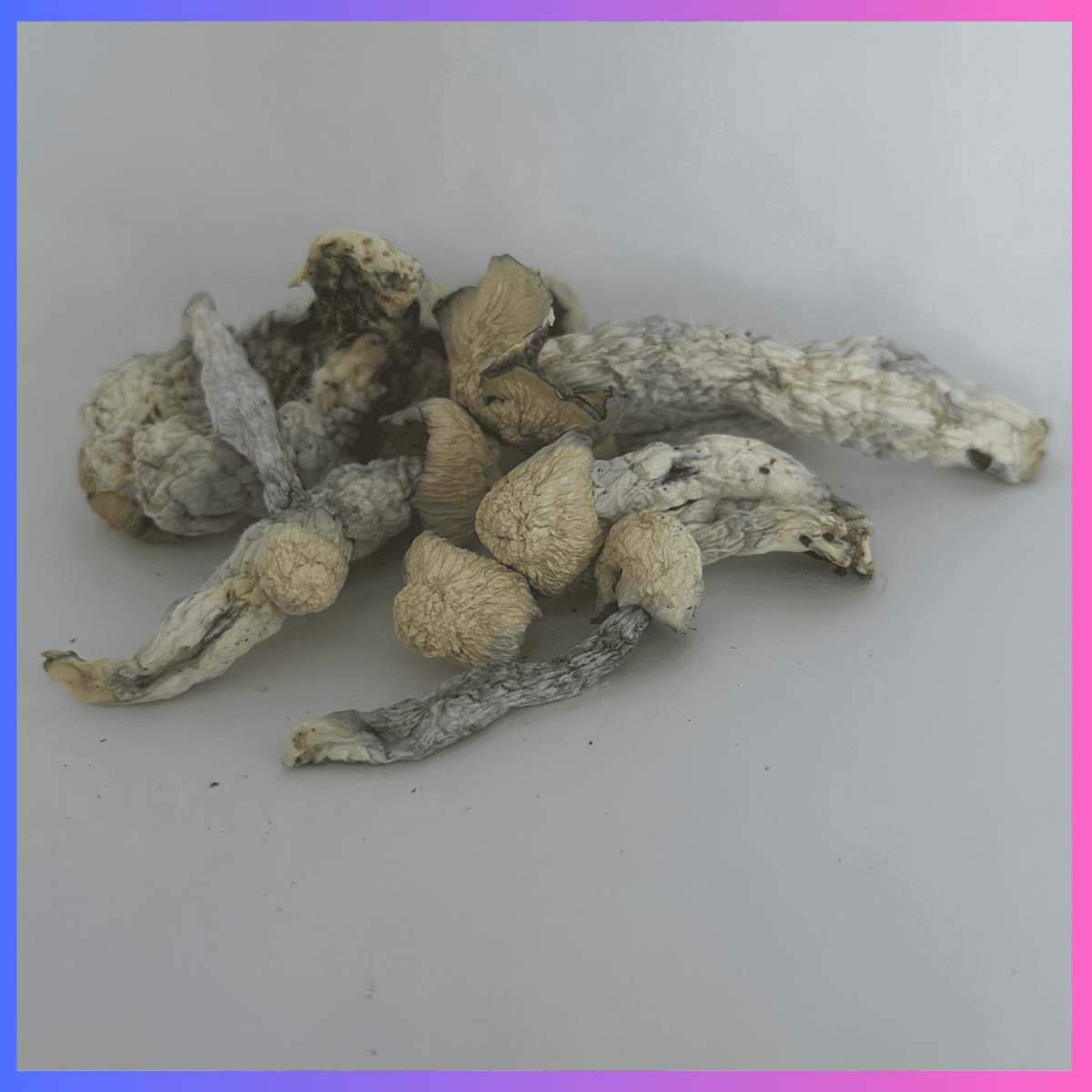 Mushrooms