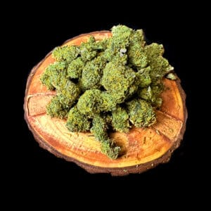 La Pop Rockz - Topshelf Indoor - New Drop - Hybrid