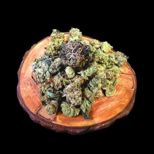 Black Mamba - Topshelf Indoor - New Drop - Hybrid