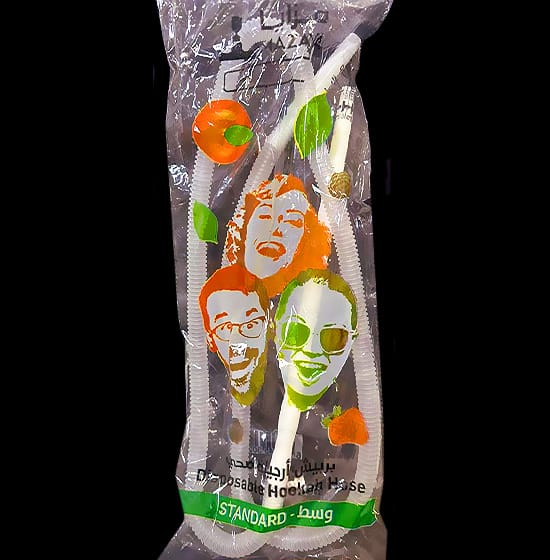 pack of Goodgoodsltd Disposable Hookah Shisha Pipes