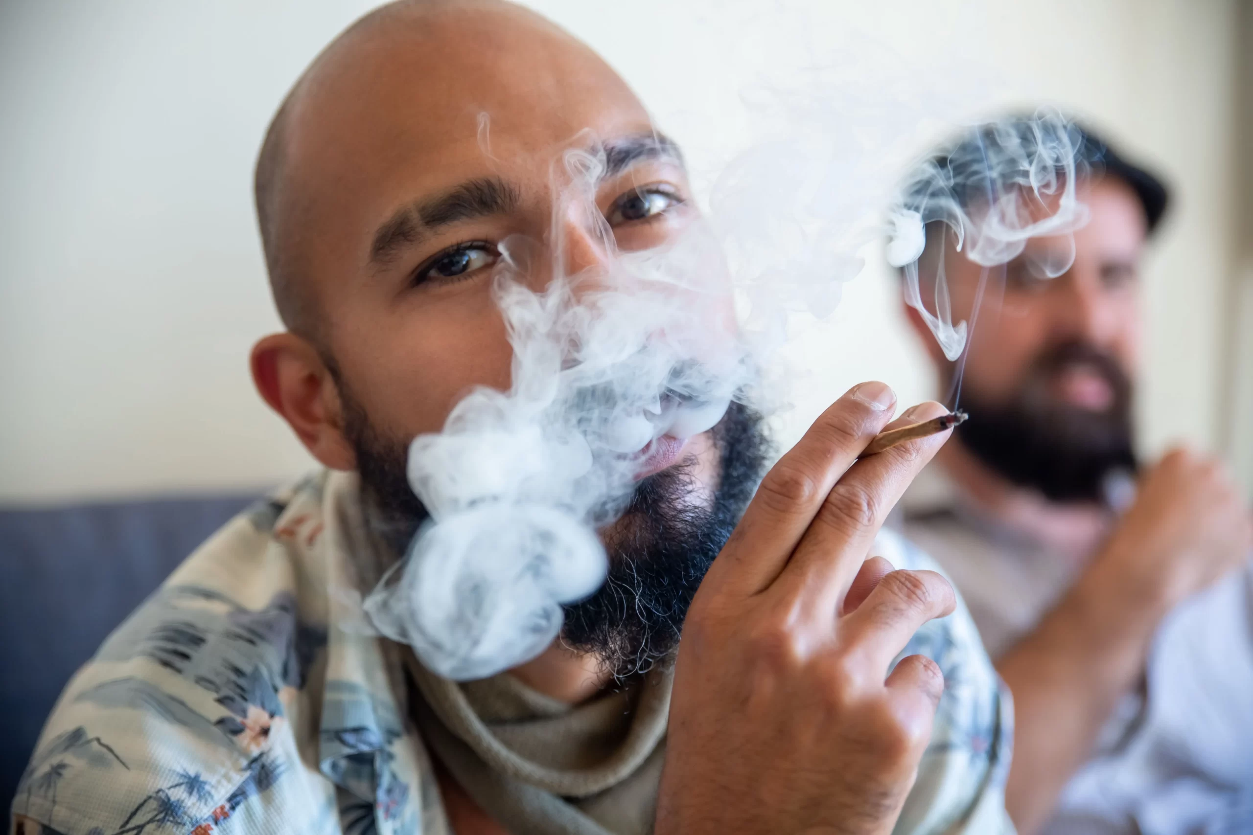 The Real Deal THC vs Delta and THCA Alternatives